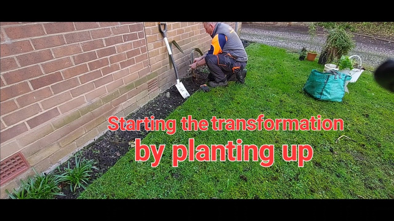 Transform Planting Starting the transformation Planting up Second apartment block - YouTube