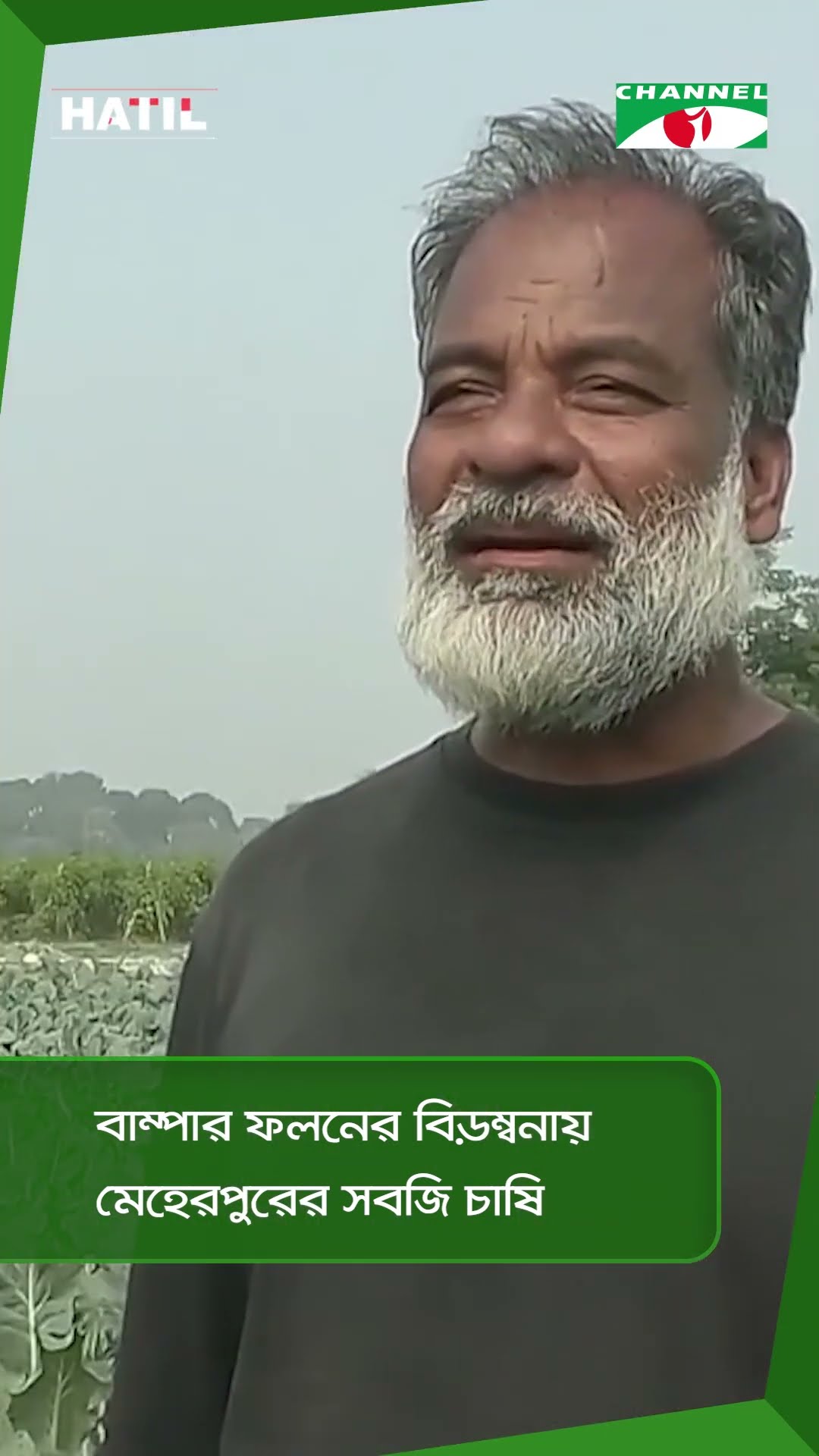 বাম্পার ফলনের বিড়ম্বনায় মেহেরপুরের সবজি চাষি || Channel i News