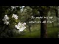 Wake me up Madilyn Bailey cover (lyrics)