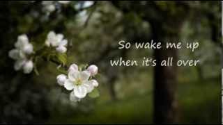 Video thumbnail of "Wake me up Madilyn Bailey cover (lyrics)"