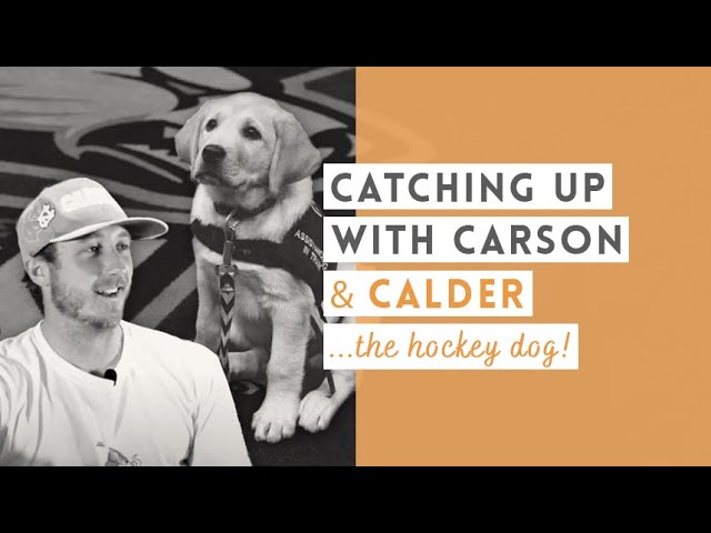 Catching Up with Carson & Calder the Hockey Dog!