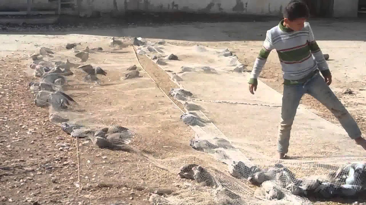 علي صياد بغداد 3