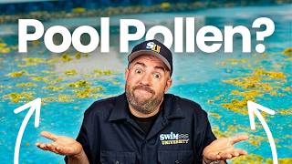 How to Get Rid of POLLEN in a POOL