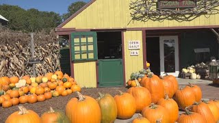New minimum wage will include farm workers. Farmers say their opinion is complicated.