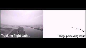 Particle Filter-based Sense-and-Avoid for UAVs