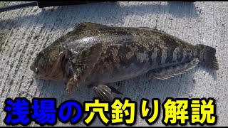 【ワーム穴釣り入門】これからの時期は浅場の穴釣りが熱い！