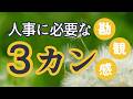 【人事部に異動するあなたへ】人事として生きるのが、少し楽しみになるお話／寝落ちASMR