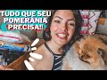 DICAS E PRODUTOS| ESSENCIAIS PARA CUIDAR DE UM LULU DA POMERÂNIA