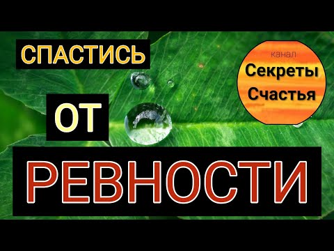 Лекарство от ревности, секреты счастья