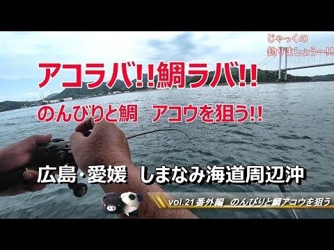 アコウ 鯛 釣り アコラバ 鯛ラバ しまなみ海道 広島 愛媛 じゃっくの釣りましょう Vol 21 Youtube