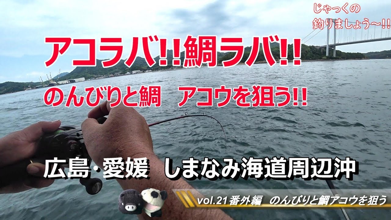 アコウ 鯛 釣り アコラバ 鯛ラバ しまなみ海道 広島 愛媛 じゃっくの釣りましょう Vol 21 Youtube