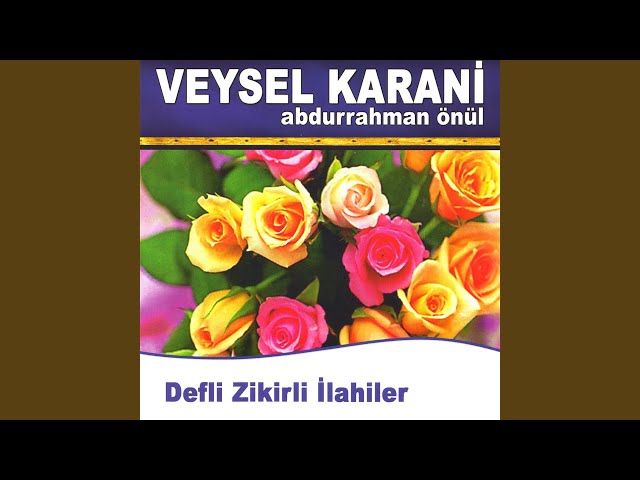 Veysel Karani