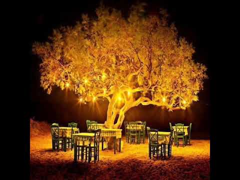 مولاي صل وسلم دائماا محمد يوسف ومحمد طارق