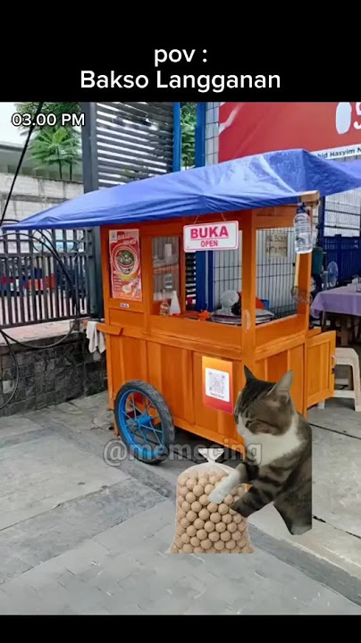 udah sering beli padahal😔 #meme #memekucing #kucing #kucinglucu #shorts #catlovers