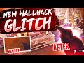 This glitch gives you wallhacks