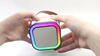Mini Boxa Portabila Cu Lumini, Sistem Karaoke Si 2 Microfoane Wireless
