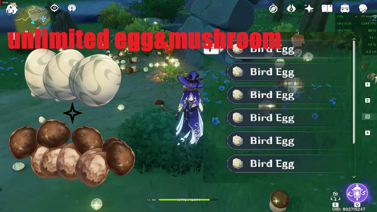 Where to buy bird eggs genshin impact