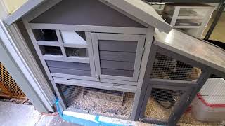Review Of Tangkula Large Chicken Coop YouTube