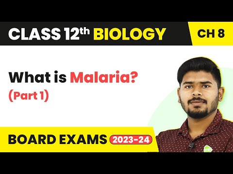 What is Malaria (Part 1) - Human Health and Disease | Class 12 Biology