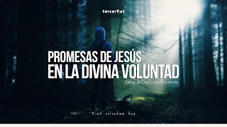348 | PROGRAMA DIÁLOGOS DIVINOS | PROMESAS DE JESÚS EN LA DIVINA VOLUNTAD