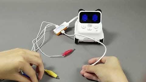 Codey Rocky-Funny Touch