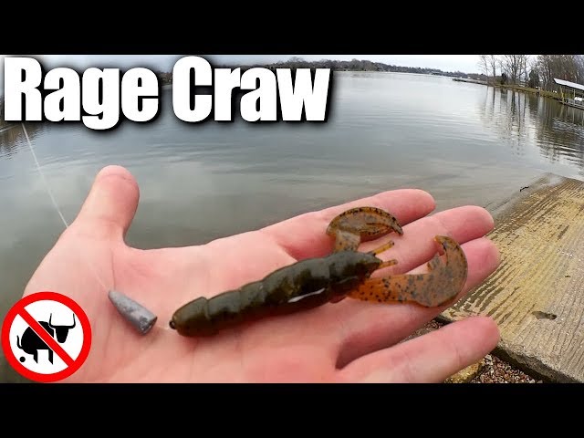 Early Spring Bass Fishing with a Rage Craw - Texas Rig Crawfish 