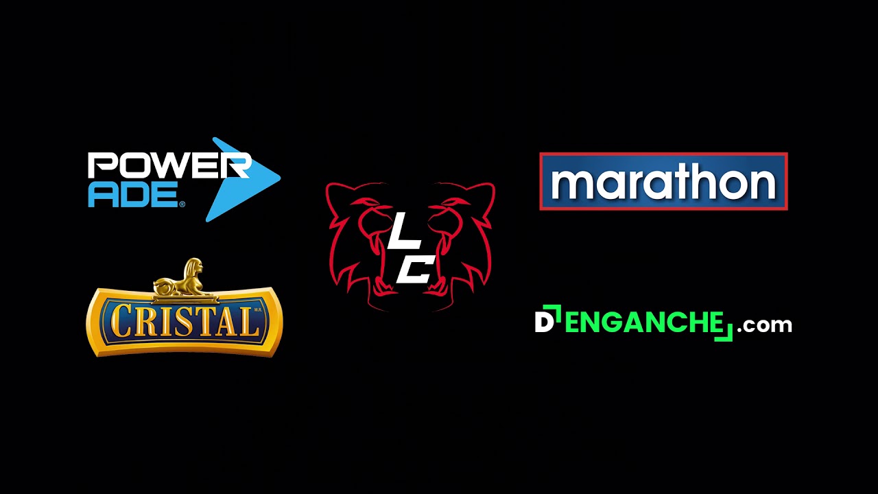 Intro + partners camera iphone 8 plus apk