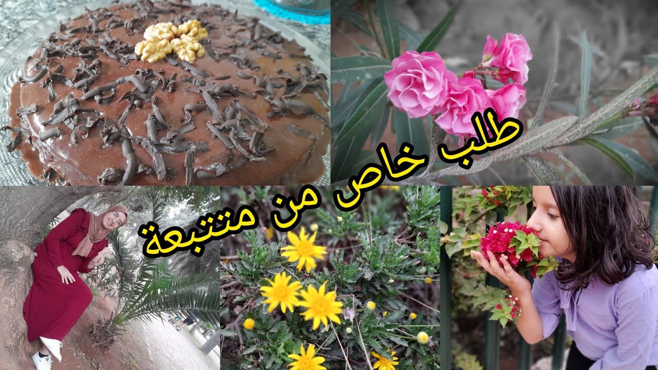 الكيك لي طلبتو مني،  فلوك في جردة مردوخ لي تعيا ما دور وما دوخ 😅.