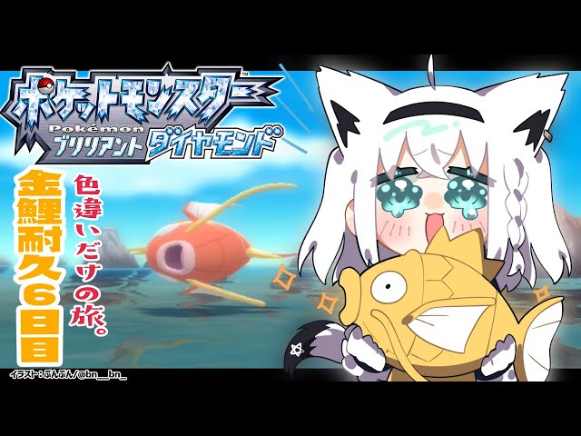 【ポケモンBDSP】色違い旅パ/金コイ耐久６日目【ホロライブ/白上フブキ】のサムネイル