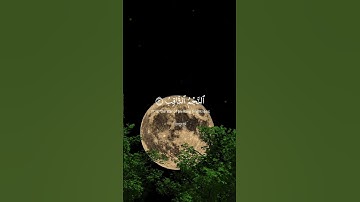ما تيسر من سورة الطارق | القارئ ياسر الدوسري
