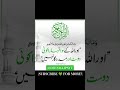 Allah ke siwa tumhara koi.....!💚✨||#quran #qurantranslation #quranverses #islamic.