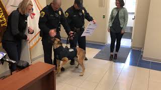 Recovering Green Bay K9 Officer Pyro at the Brown County Sheriff's Office