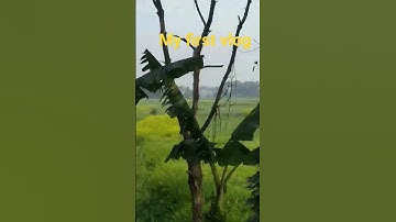 my first vlog #myfirstvlog #my_first_vlog #myfirstvlogviral #my_first_vlog_on_youtube #video