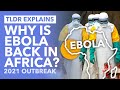 Ebola's Back: How Worried Should We Be about Ebola Spreading in 2021 - TLDR News