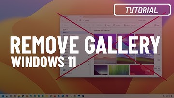 Remove Gallery from File Explorer on Windows 11 ✅ 2025 Tested