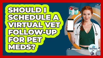 Should I Schedule a Virtual Vet Follow-Up For Pet Meds?
