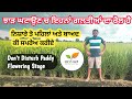 ਝੋਨੇ ਚ ਗਲਤੀਆਂ ਦੀਆਂ ਪੰਡਾਂ ਨਾ ਬੰਨੋ• Paddy yield effective mistakes at field