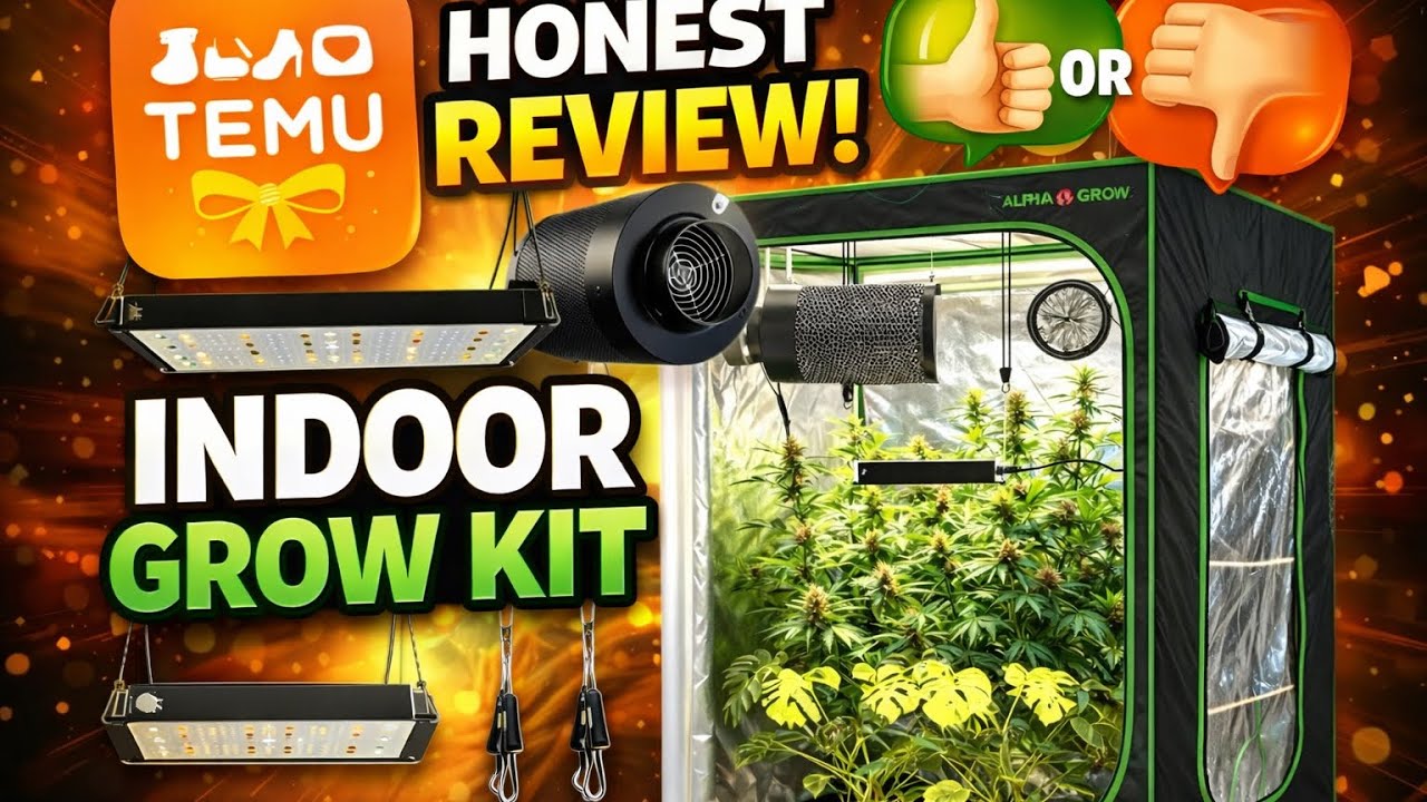 “TEMU GROW TENT TESTED”