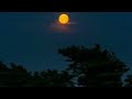 জোৎস্না||Full moon. #nature #fullmoon #vairal #vairalvideo #naturelovers#naturephotography #viral
