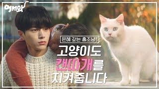 [#어서와] 고양이도 캔따개를 지킨다구요! 위기의 순간 솔아 아빠를 구한 홍조냥 ㅣ KBS방송