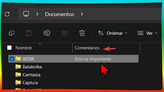 Añadir Comentario a CARPETA 