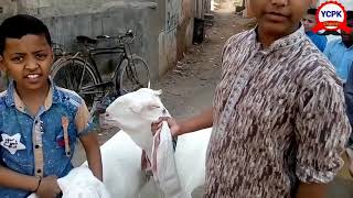 Bakra Eid Ki Kharedri Orangi Town Bakra Mandi 10-02-2021 Sai Ache Hai Bhains Colony Bakra Mandi Kia