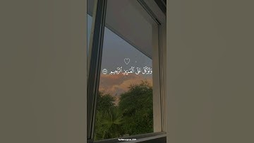 سُبحان من جعل في صوته الراحه😔🌱|شريف مصطفى سورة الشعراء | وتوكل على العزيز الرحيم