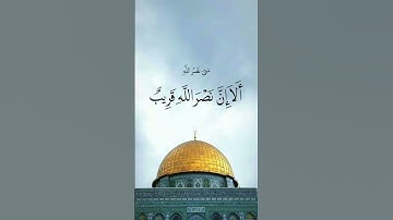 و كان حقاً علينا نصر المؤمنين || القارئ محمد صالح