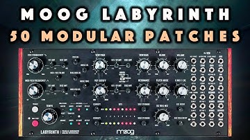 Moog Labyrinth 50 Modular Patches & Sequences + WAV Samples