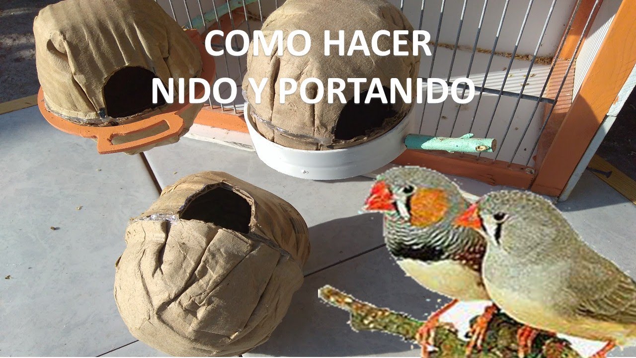 Como nidos y porta nidos para finches - YouTube