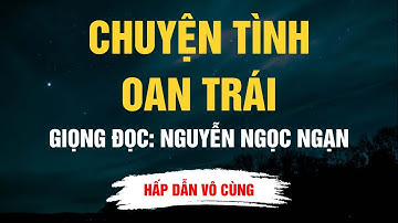 Cực Hay Nguyễn Ngọc Ngạn - Chuyện Tình Oan Trái - Kể Chuyện Đêm Khuya