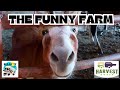 Travel vlog epi 9  rv road trip  arriving in tn  staying at the funny farm  harvest host