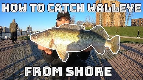 How to catch BIG Walleye in the Detroit River! - Jigging Tutorial Tips & Techniques