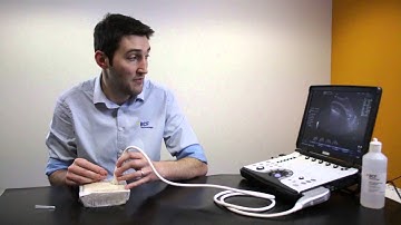 Ultrasound Guided Needle Biopsy Techniques Video 6 - What to do if you lose the needle